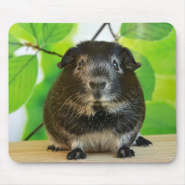 Smooth Silver Fox Guinea Pig Mouse Pad (Front)