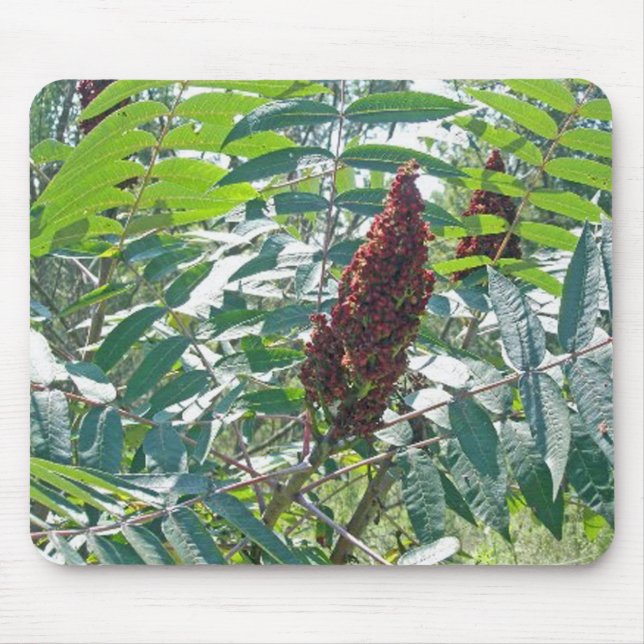 Smooth Sumac Berries Mousepad (Front)