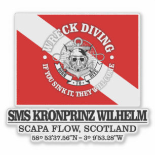 SMS Kronprinz Wilhelm (best wrecks)
