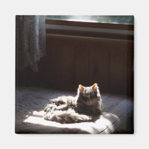 Smudge magnet