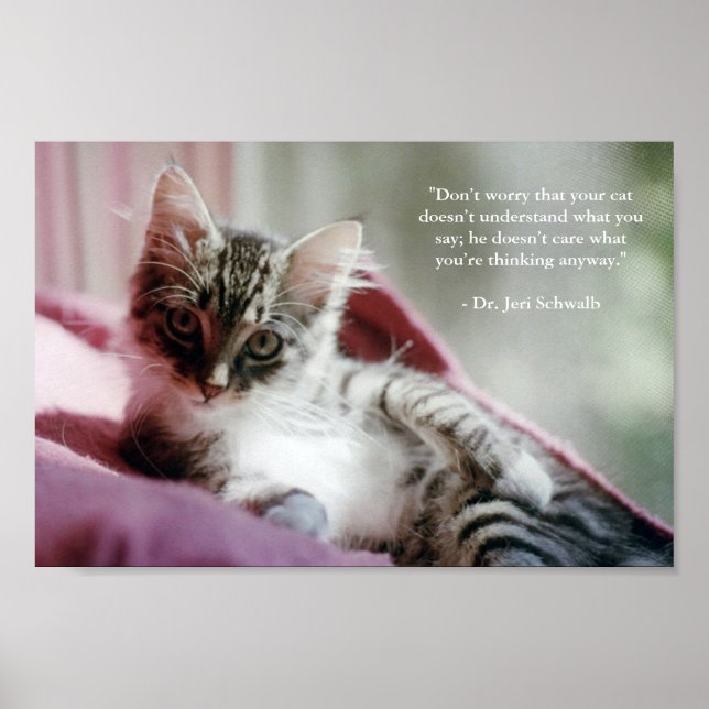 Smug Kitten Poster (Front)