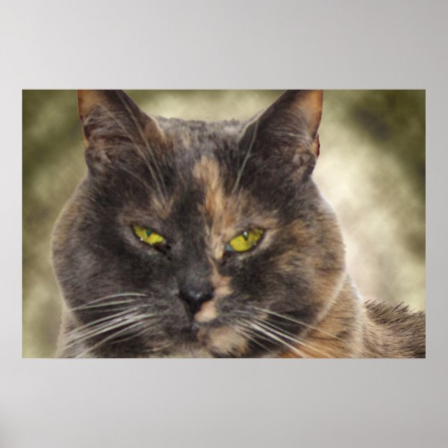 Smug Kitty - Do What You Want? Poster (Front)