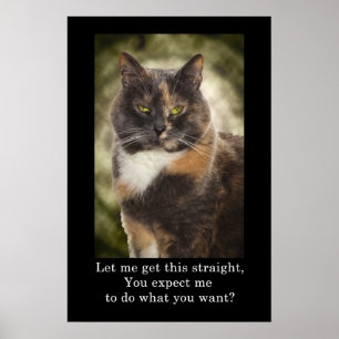 Smug Kitty - Do What You Want? Poster