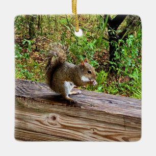 Snack Attack Ceramic Ornament