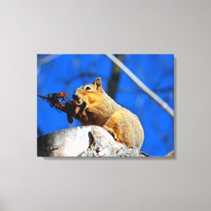Snack time canvas print