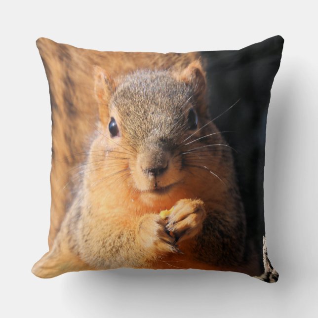 Snack time cushion (Front)