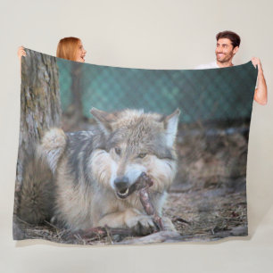 Snack time fleece blanket