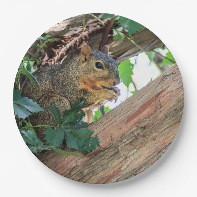 Snack Time Paper Plate (Front)