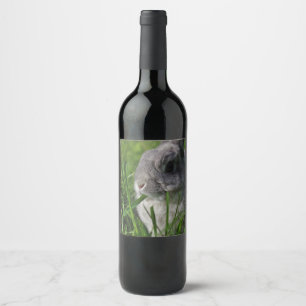 Snack Time Wine Label