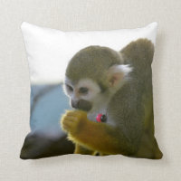 Snacking Squirrel Monkey