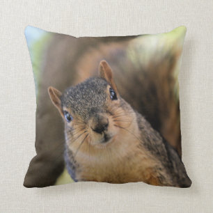 Snacks? I LOVE snacks! Cushion