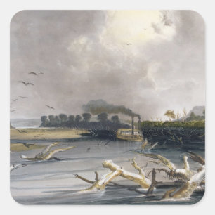 Snags (sunken trees) on the Missouri, plate 6 from Square Sticker