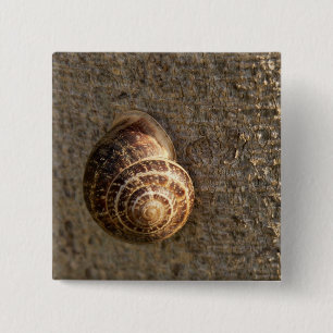 Snail 15 Cm Square Badge