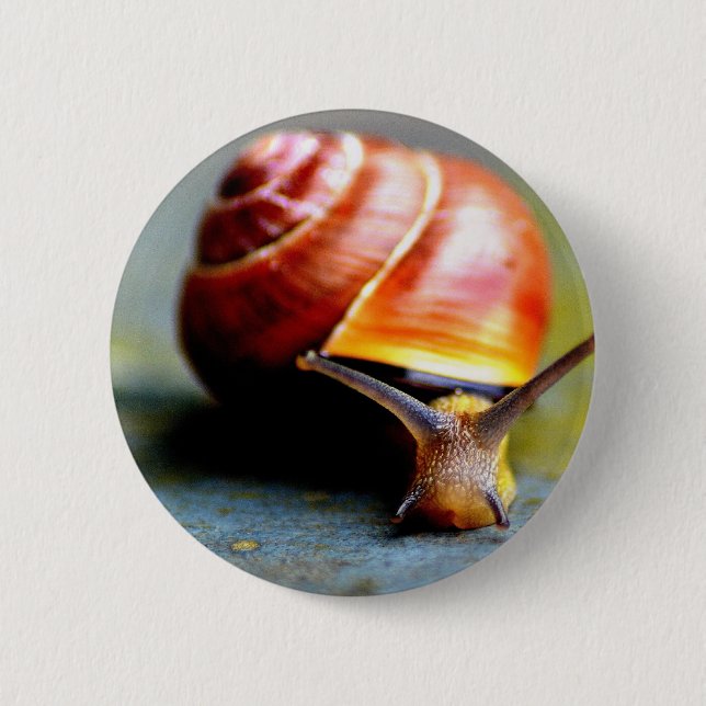 Snail 6 Cm Round Badge (Front)