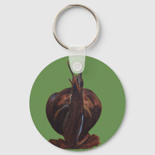 Snail Art Drawing Key Ring