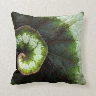 Snail Begonia Leaf Cushion
