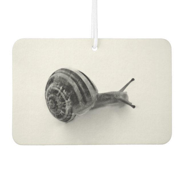 Snail Car Air Freshener (Front)