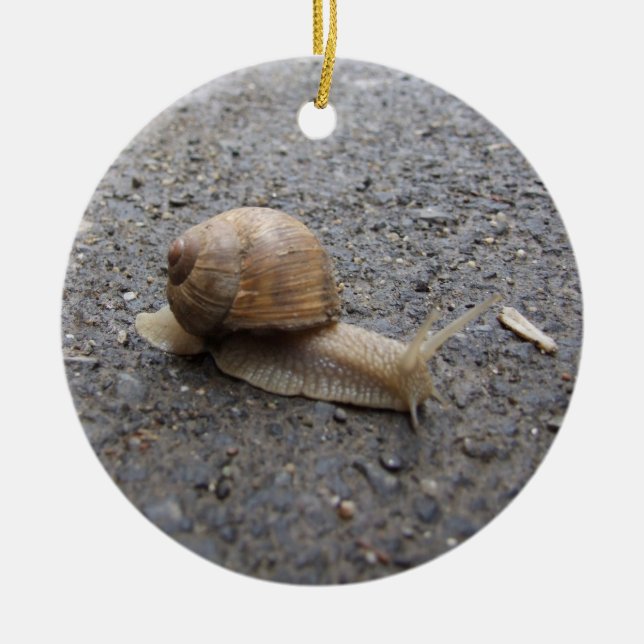 snail ceramic tree decoration (Front)