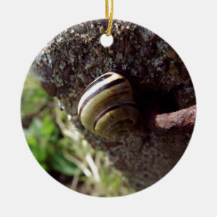 snail ceramic tree decoration
