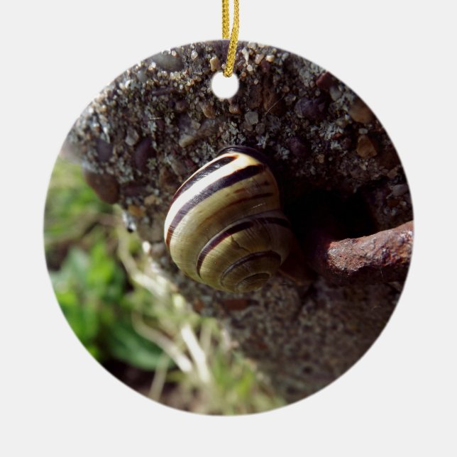 snail ceramic tree decoration (Front)