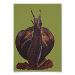 Snail Drawing Kodak Professional Photo Paper Print