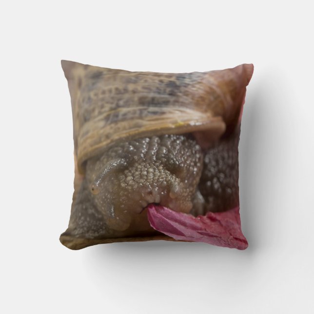 Snail eating pink paper bizarre snail throw pillow (Front)