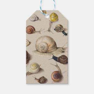 Snail Garden Pet Gastropod Slug Botanical Snails Gift Tags