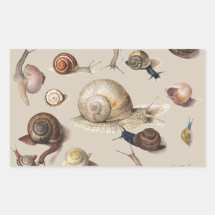 Snail Garden Pet Gastropod Slug Botanical Snails Rectangular Sticker