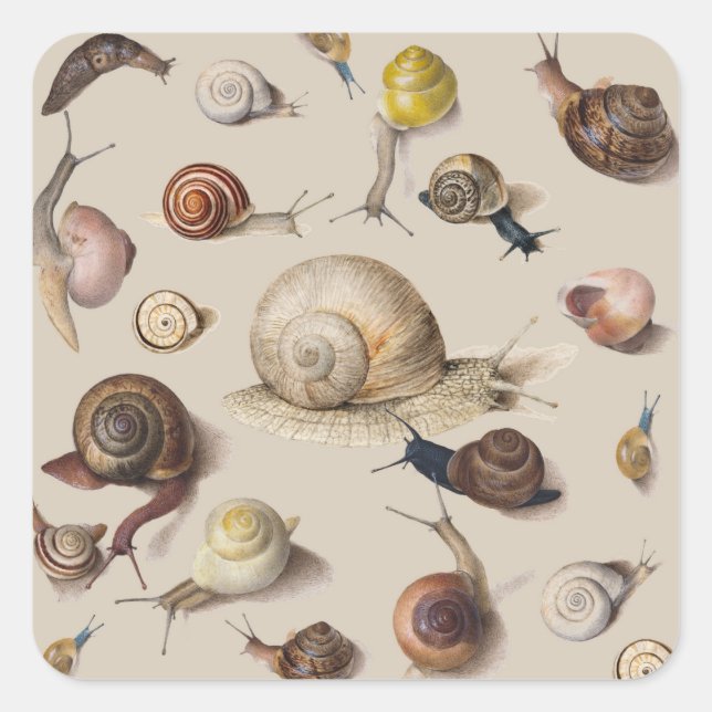 Snail Garden Pet Gastropod Slug Botanical Snails Square Sticker (Front)