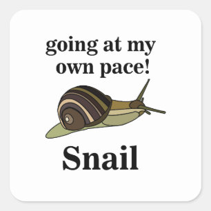 Snail Going At My Own Pace Funny Snail Square Sticker