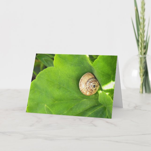 Snail Holiday Card (Front)