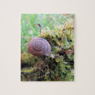 Snail in the moss jigsaw puzzle