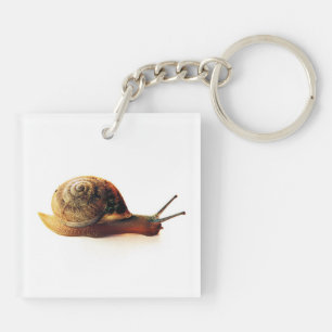 snail key ring