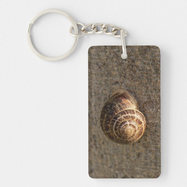 Snail Key Ring (Front)