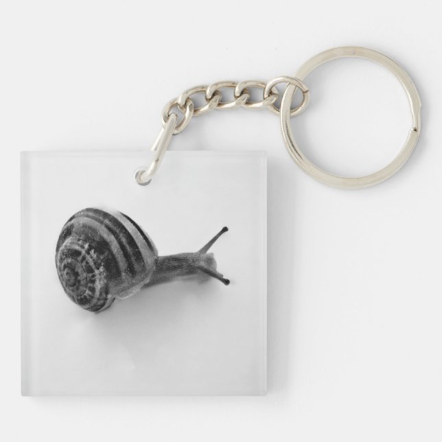 snail key ring (Back)
