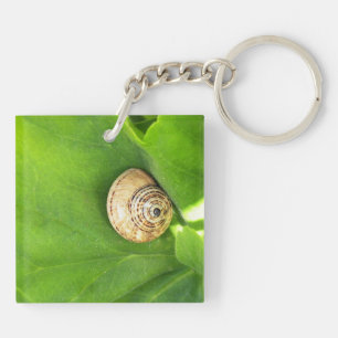 Snail Key Ring