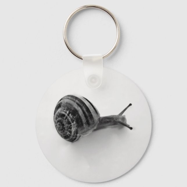 Snail Key Ring (Front)