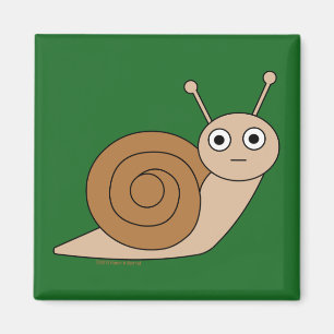 Snail Magnet