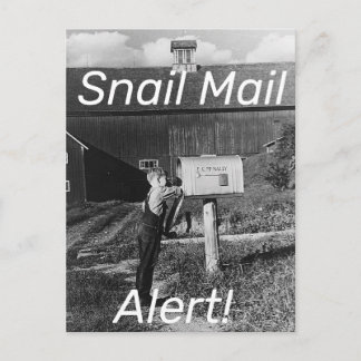 Snail Mail Alert Postcard