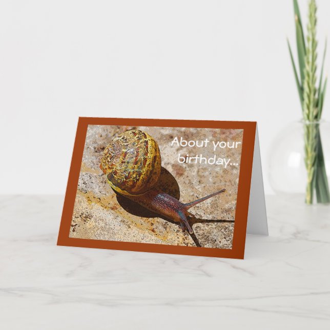 Snail mail belated birthday card (Front)