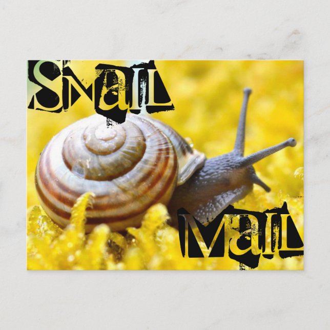 Snail Mail Postcard (Front)