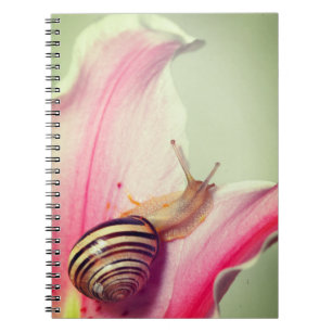 Snail Notebook