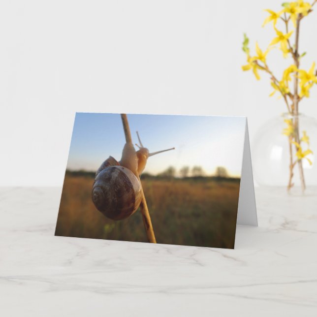 Snail on a Stem Card (Yellow Flower)