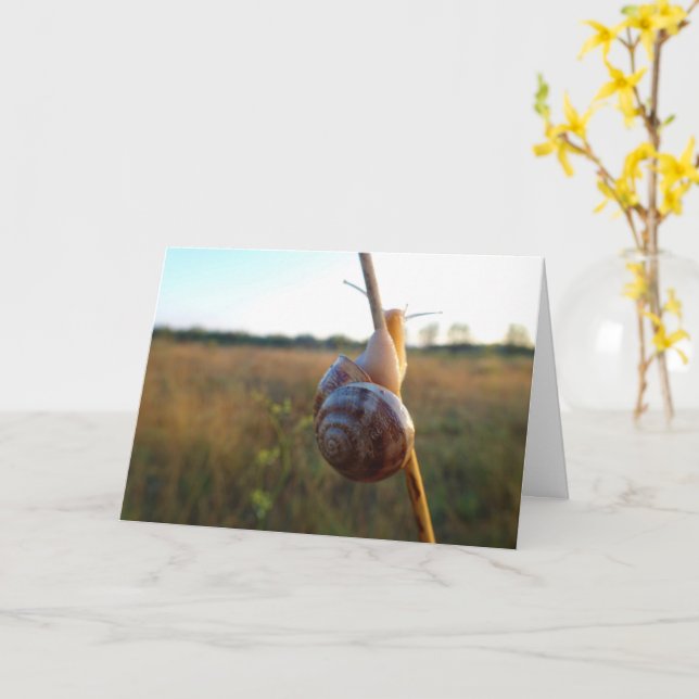 Snail on a Stem Card (Yellow Flower)