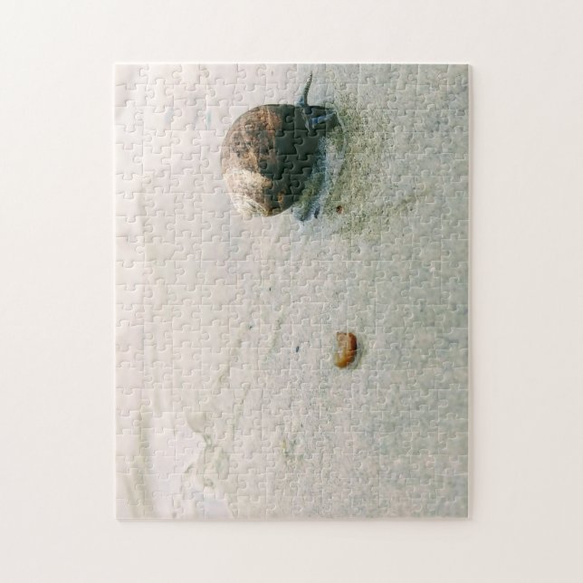 Snail on the Beach Puzzle (Vertical)