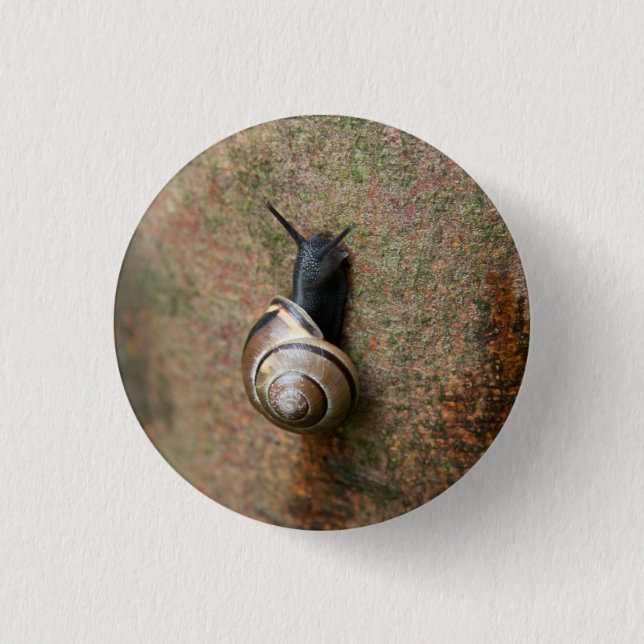 Snail round button (Front)