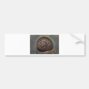Snail Shell Bumper Sticker