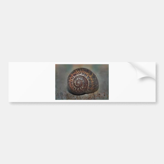 Snail Shell Bumper Sticker (Front)