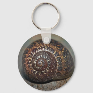 Snail Shell Key Ring