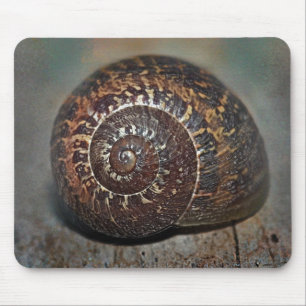 Snail Shell Mouse Pad